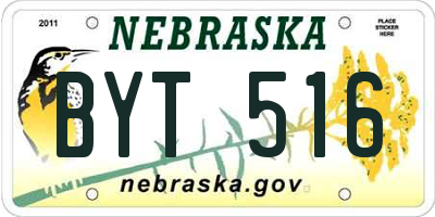 NE license plate BYT516