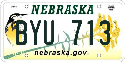 NE license plate BYU713