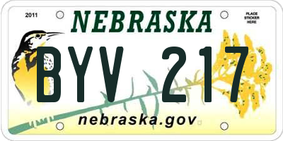 NE license plate BYV217