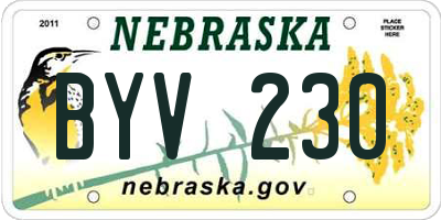 NE license plate BYV230