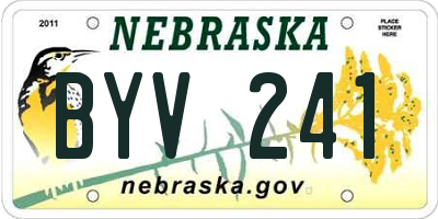 NE license plate BYV241