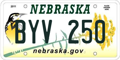 NE license plate BYV250
