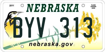 NE license plate BYV313