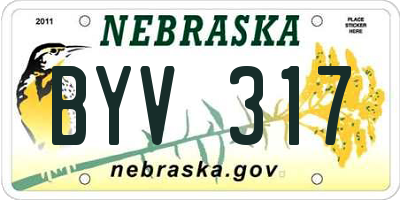 NE license plate BYV317