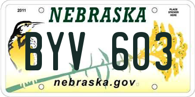 NE license plate BYV603