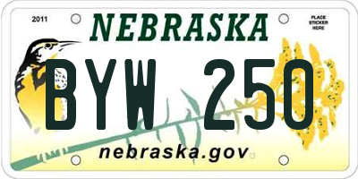 NE license plate BYW250