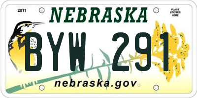 NE license plate BYW291