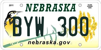 NE license plate BYW300