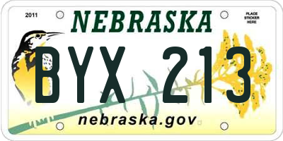 NE license plate BYX213