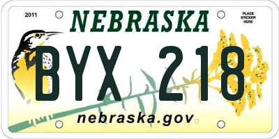 NE license plate BYX218