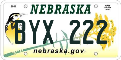 NE license plate BYX222
