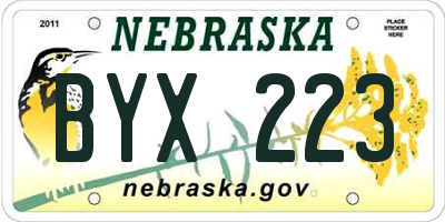 NE license plate BYX223