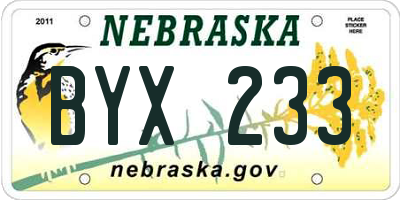 NE license plate BYX233