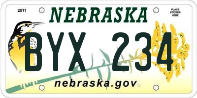 NE license plate BYX234