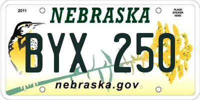 NE license plate BYX250