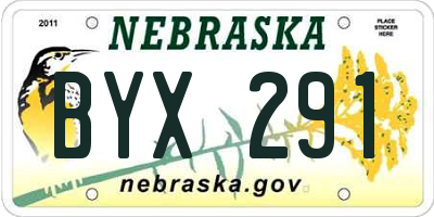 NE license plate BYX291