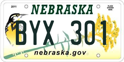 NE license plate BYX301