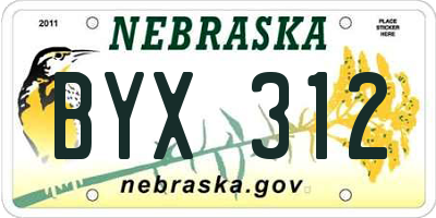 NE license plate BYX312