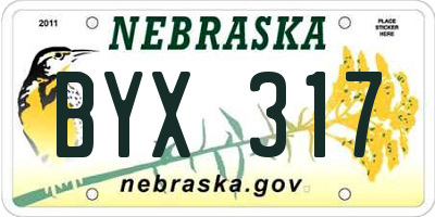 NE license plate BYX317