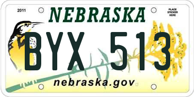 NE license plate BYX513