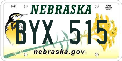 NE license plate BYX515