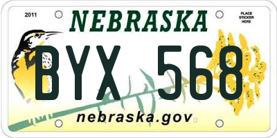 NE license plate BYX568