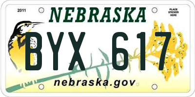 NE license plate BYX617