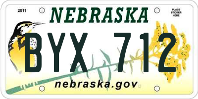 NE license plate BYX712