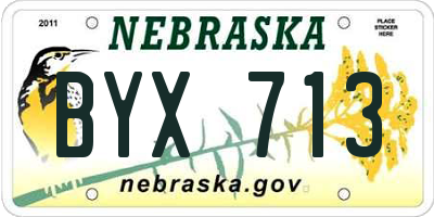 NE license plate BYX713