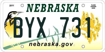 NE license plate BYX731