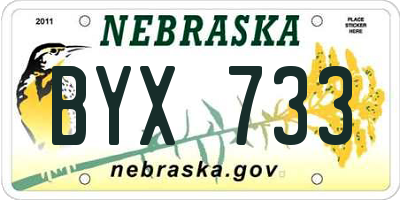 NE license plate BYX733