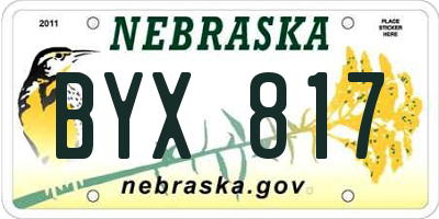 NE license plate BYX817