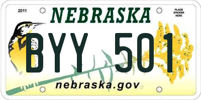 NE license plate BYY501