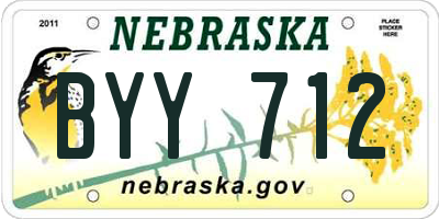 NE license plate BYY712
