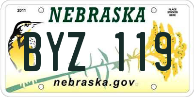 NE license plate BYZ119