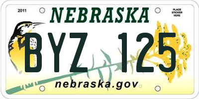 NE license plate BYZ125