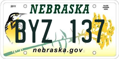 NE license plate BYZ137