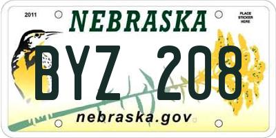 NE license plate BYZ208