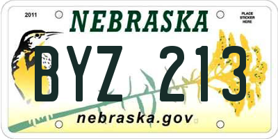 NE license plate BYZ213