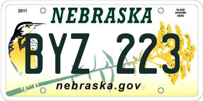 NE license plate BYZ223
