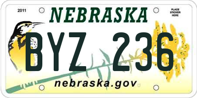 NE license plate BYZ236