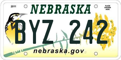 NE license plate BYZ242