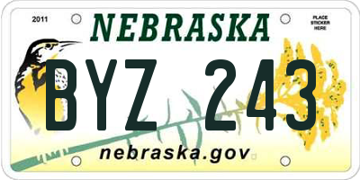 NE license plate BYZ243