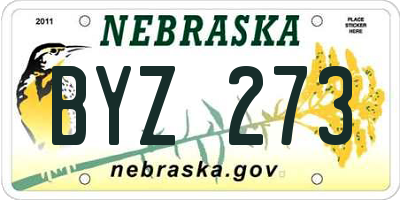 NE license plate BYZ273