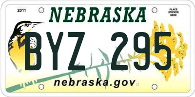 NE license plate BYZ295