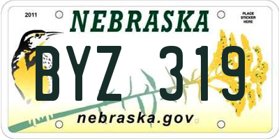 NE license plate BYZ319