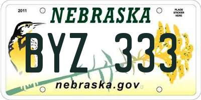 NE license plate BYZ333
