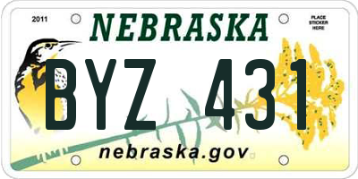 NE license plate BYZ431