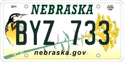 NE license plate BYZ733