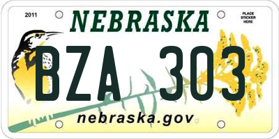 NE license plate BZA303